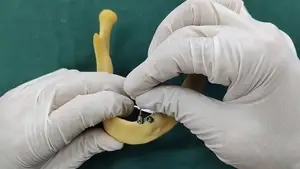 غطاء واقي للدعامات متعددة الوحدات لنظام زرعات الأسنان BLE