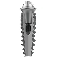 الشكل (Shape)